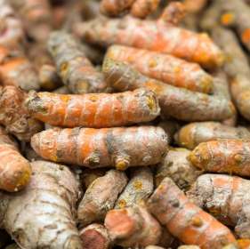 Turmeric CO₂ Extract